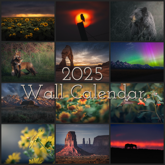 2025 Limited Edition Wall Calendar by Nature Photographer Chad Sawyer